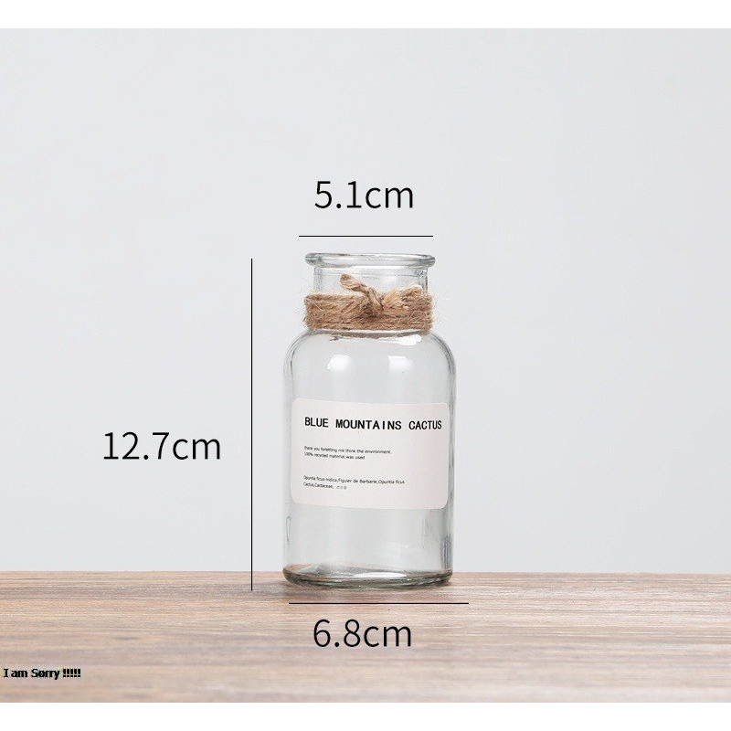 Lọ hoa thủy tinh trang trí, bình hoa decor cắm hoa giả phong cách Vintage