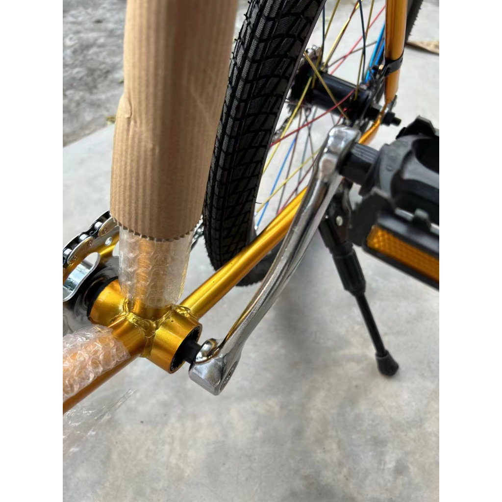 Xe đạp đường phố Fixed Gear 20