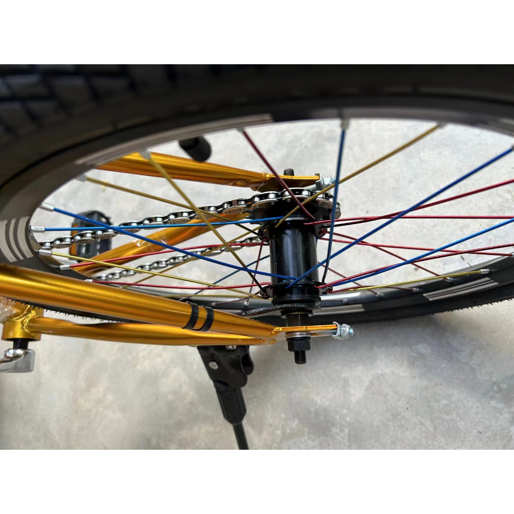 Xe đạp đường phố Fixed Gear 20