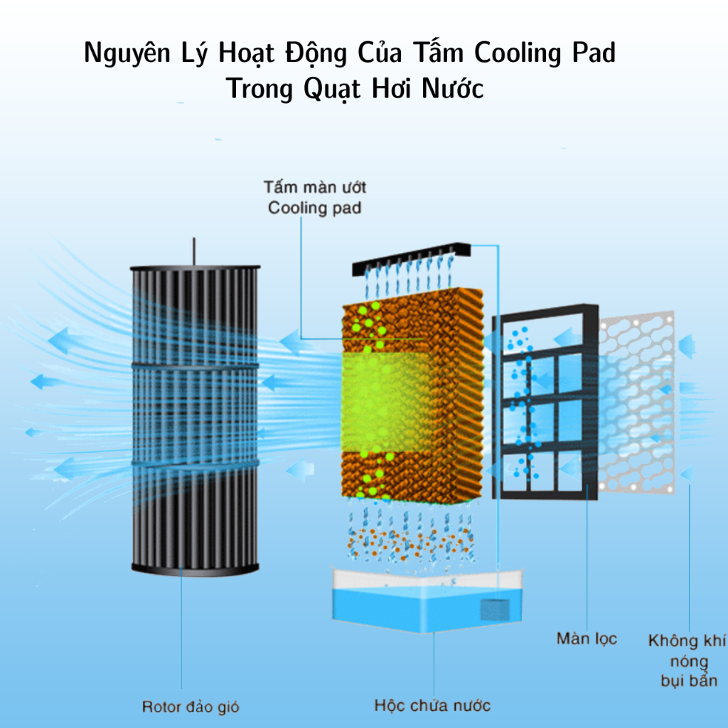 Bộ 3 tấm làm mát coolingpad Chống Rêu