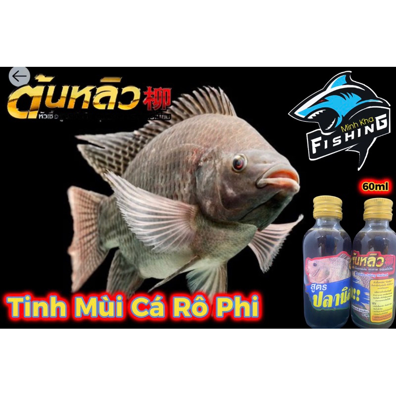 TINH MÙi CÁ RÔ PHI 60ML