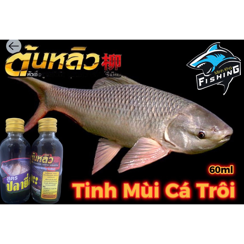 TINH MÙI CÁ TRÔI / CHÉP HƯƠNG BẮP 60ML