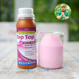 Sản phẩm lem lép hạt top top 400sc - mang tầm đẳng cấp