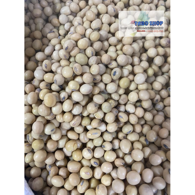 Hạt đậu nành (500g~1kg)