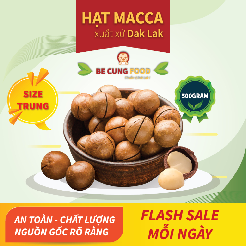 HẠT MACCA  XUẤT XỨ DAKLAK - TẶNG KÈM KHUI HẠT