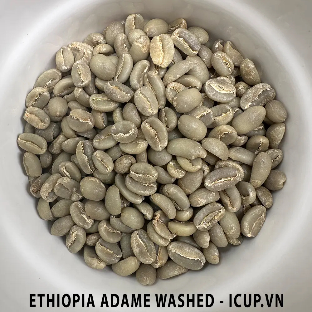 Ethiopia Yirgacheffe Adame Mulugeta Tsige G1 Washed - iCup Roaster