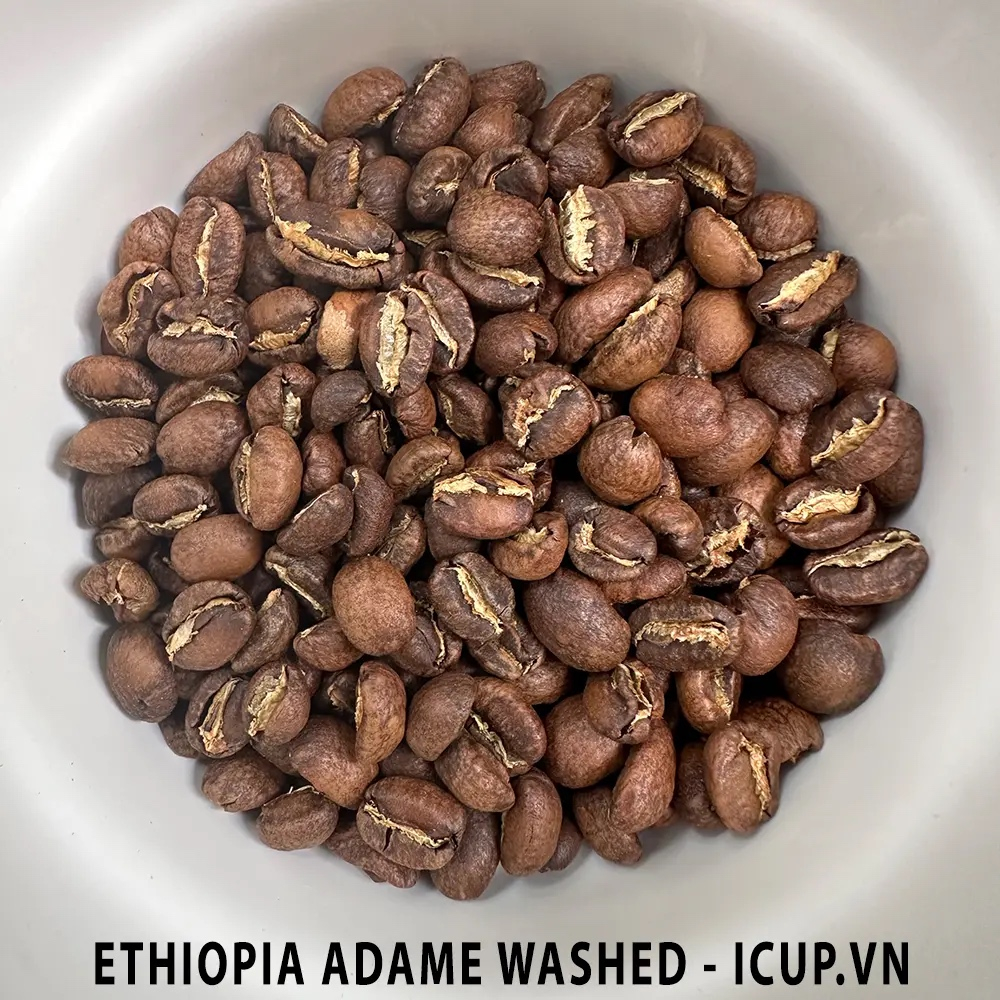 Ethiopia Yirgacheffe Adame Mulugeta Tsige G1 Washed - iCup Roaster