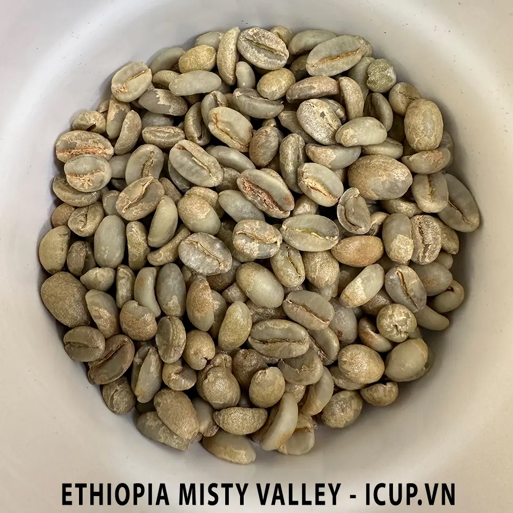 Cà phê đặc sản Ethiopia Misty Valley Natural - iCup Roaster