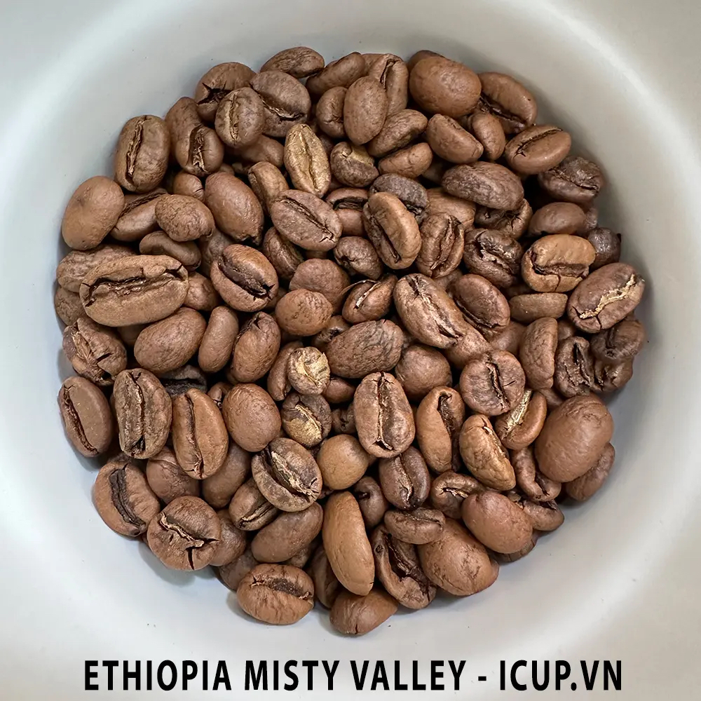 Cà phê đặc sản Ethiopia Misty Valley Natural - iCup Roaster