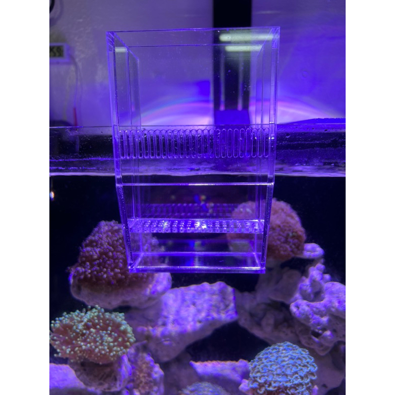 Lò đảo không bơm Bio Pellet khử no3,po4