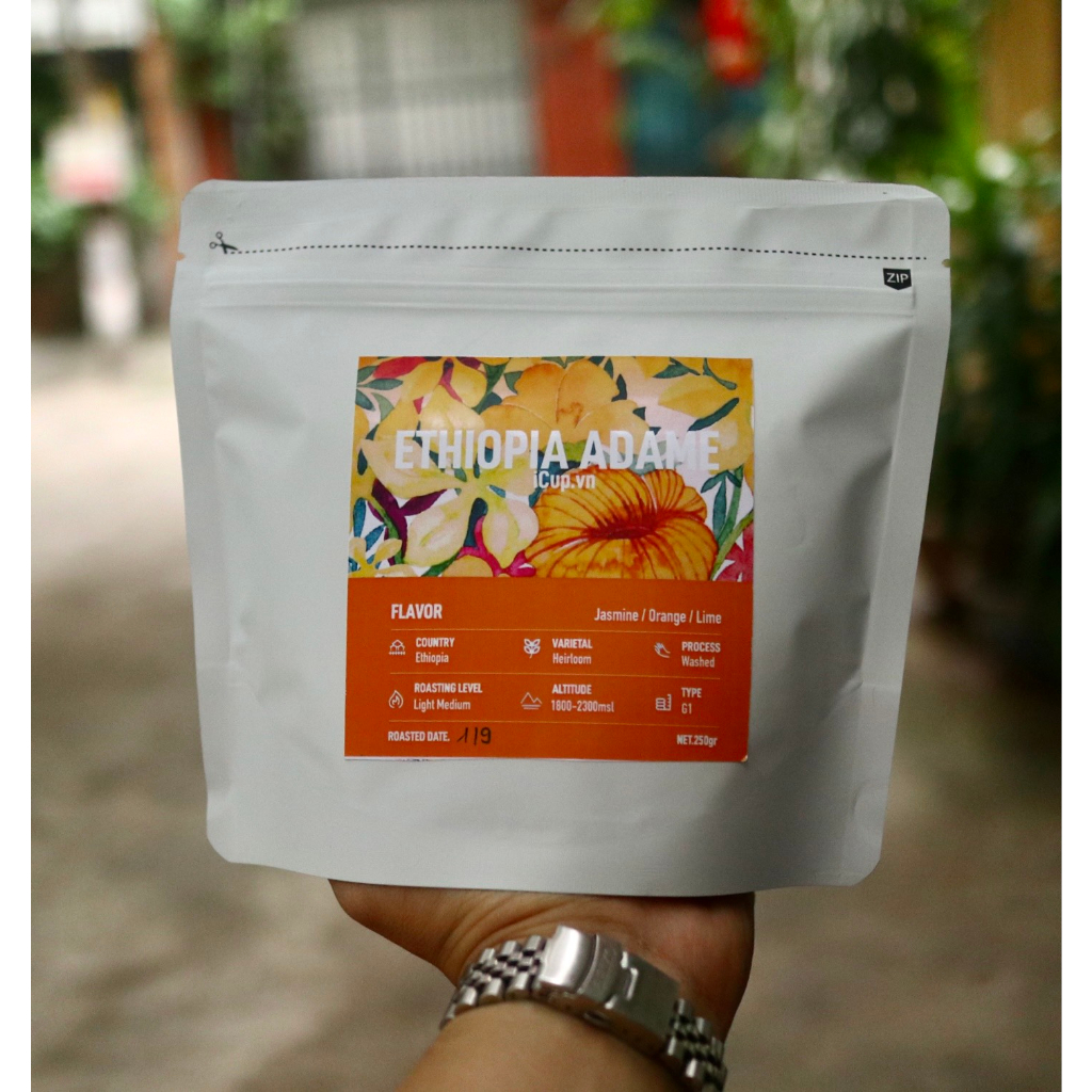 Ethiopia Yirgacheffe Adame Mulugeta Tsige G1 Washed - iCup Roaster