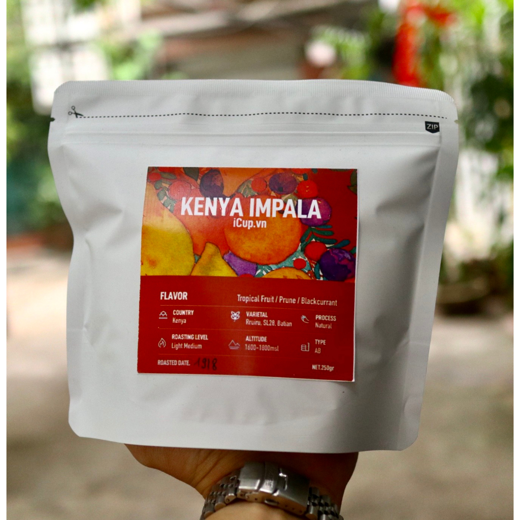 Cà phê ngoại Kenya Impala Natural AA - iCup Roaster