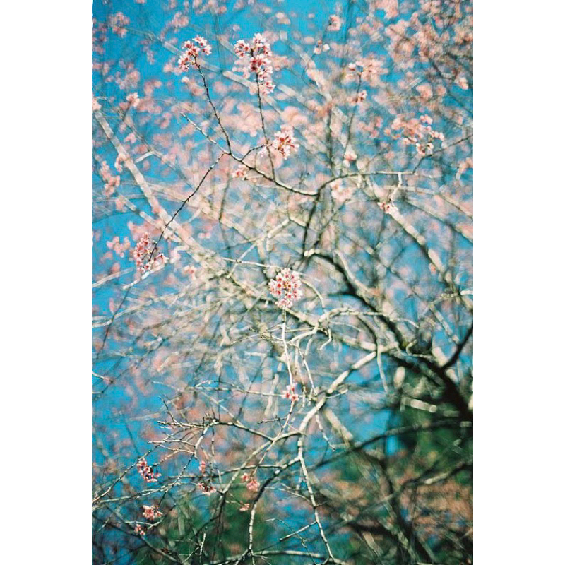 - Film 135  giá rẻ, 24 kiểu & 36 kiểu, Film outdate, hàng US