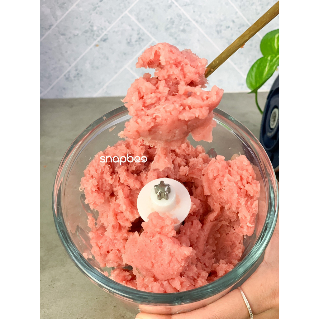 Máy xay thịt xay tỏi ớt xay đồ ăn dặm đa năng Snapbee