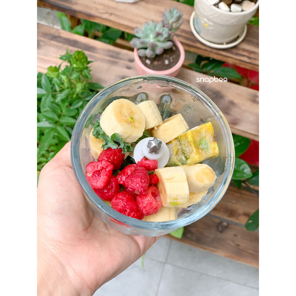 Máy xay thịt xay tỏi ớt xay đồ ăn dặm đa năng Snapbee