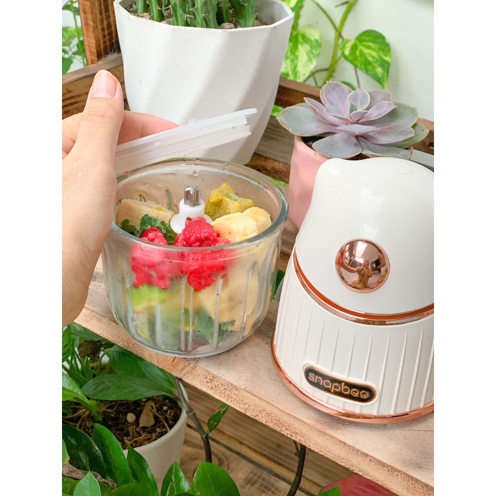 Máy xay thịt xay tỏi ớt xay đồ ăn dặm đa năng Snapbee