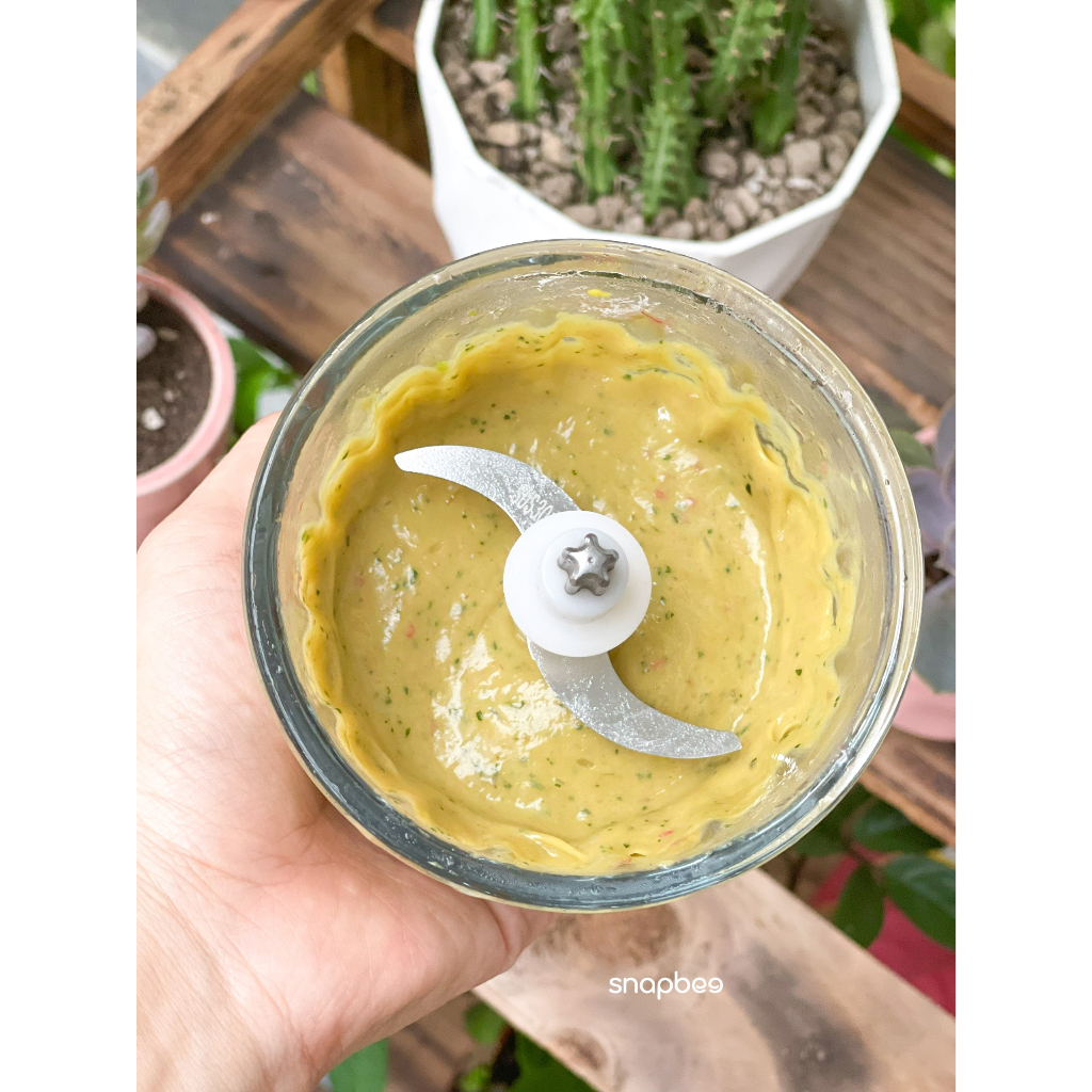 Máy xay thịt xay tỏi ớt xay đồ ăn dặm đa năng Snapbee