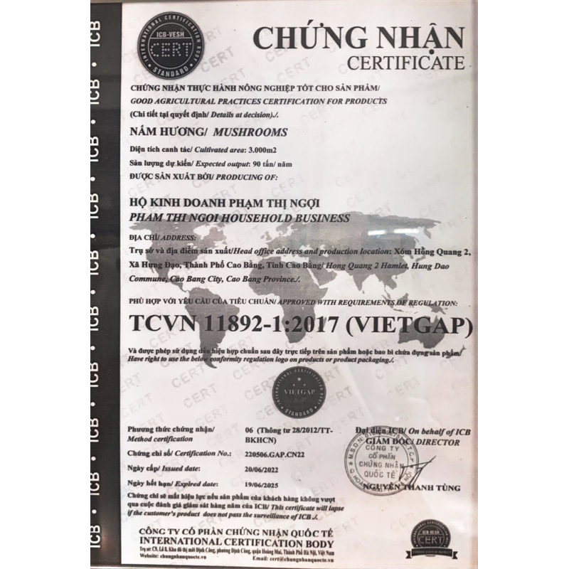 Nấm Hương Tươi - Nấm Ăn Lẩu 300gr | Nấm Sạch Việt Nam