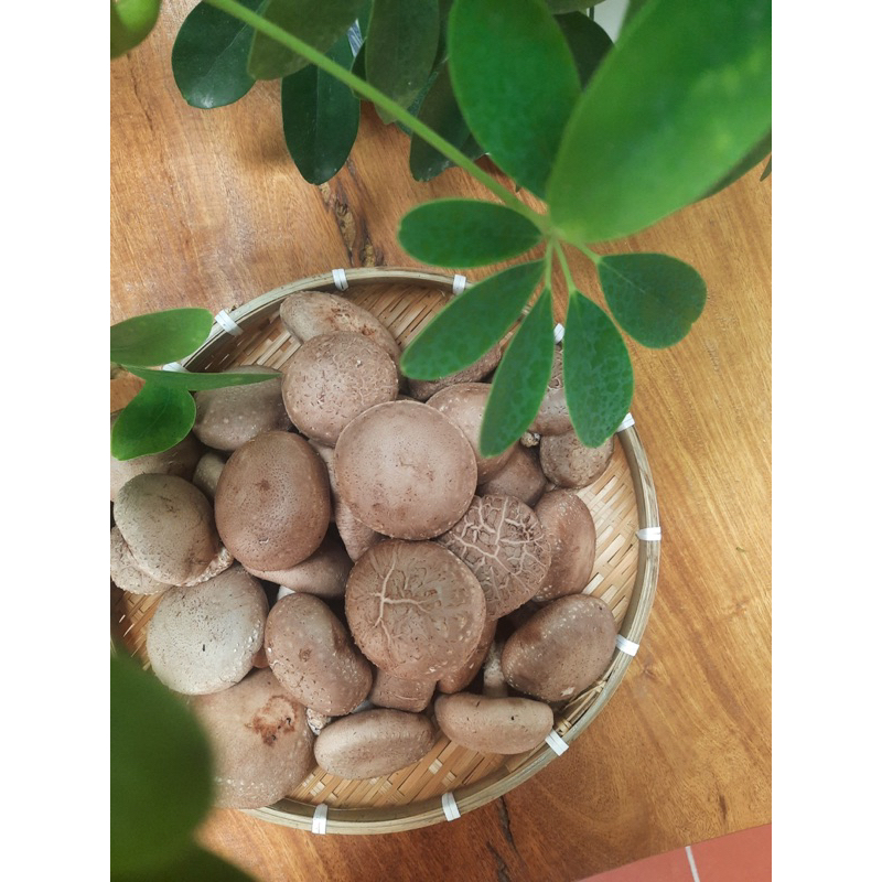 Nấm Hương Tươi - Nấm Ăn Lẩu 300gr | Nấm Sạch Việt Nam