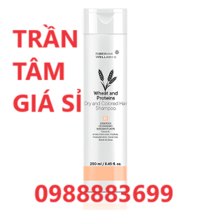 Dầu gội cho tóc khô và tóc nhuộm SIBERIAN WELLNESS Dry and Сolored Hair Shampoo 250ml