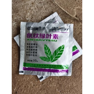 Siêu kích rễ kích mầm