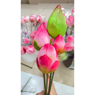 Hoa sen giả-cao cấp,trang trí siêu đẹp, thanh lý bán giá rẻ