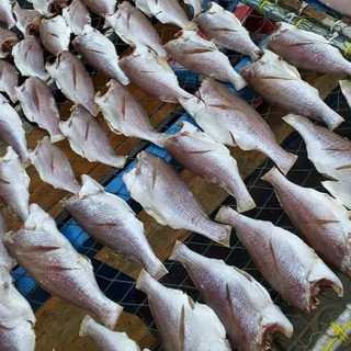khô cá đù nguyên con size vừa