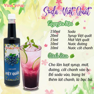 Siro Việt Quất VinaSyrup 750ml