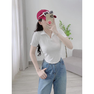 Áo croptop polo bo eo vạt bầu tay ngắn Michi siêu tôn dáng, áo cổ Đức vạt bầu chất thun đẹp