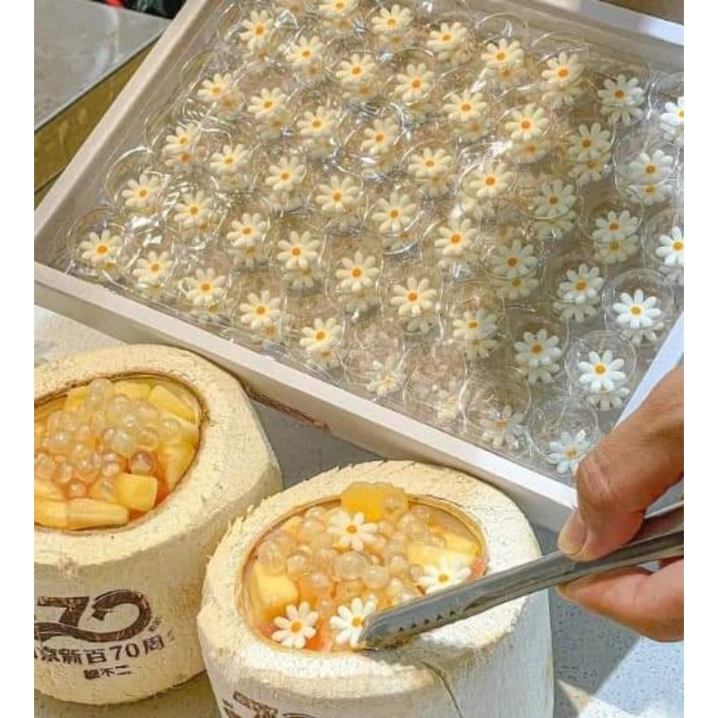 Hoa nhiều màu bằng gumpaste hộp 60g 50c hoa đk 2cm