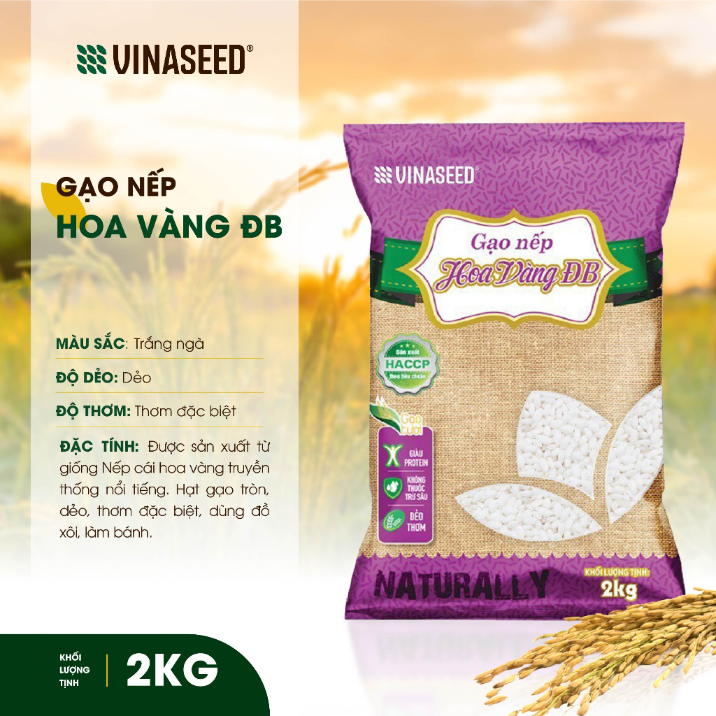 Gạo - Vinaseed nếp Hoa Vàng loại đặc biệt hạt mềm, dẻo, dai hàng chính hãng - 2kg