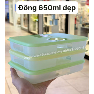 Set 3 Hộp Trữ Đông Tupperware Freezermate Colorful 650ML dẹp