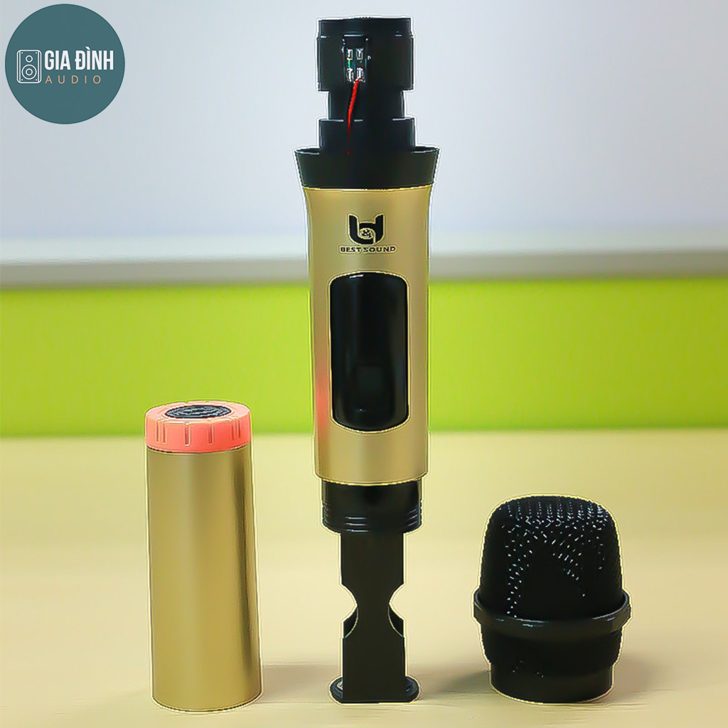 Micro không dây đa năng BestSound V-W003  - Chính Hãng