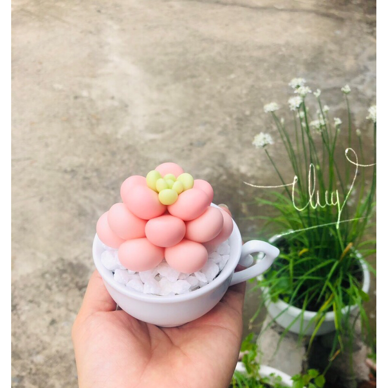 SEN ĐÁ ĐẤT SÉT,Quà Tặng Sinh Nhật,Trang Trí Decor