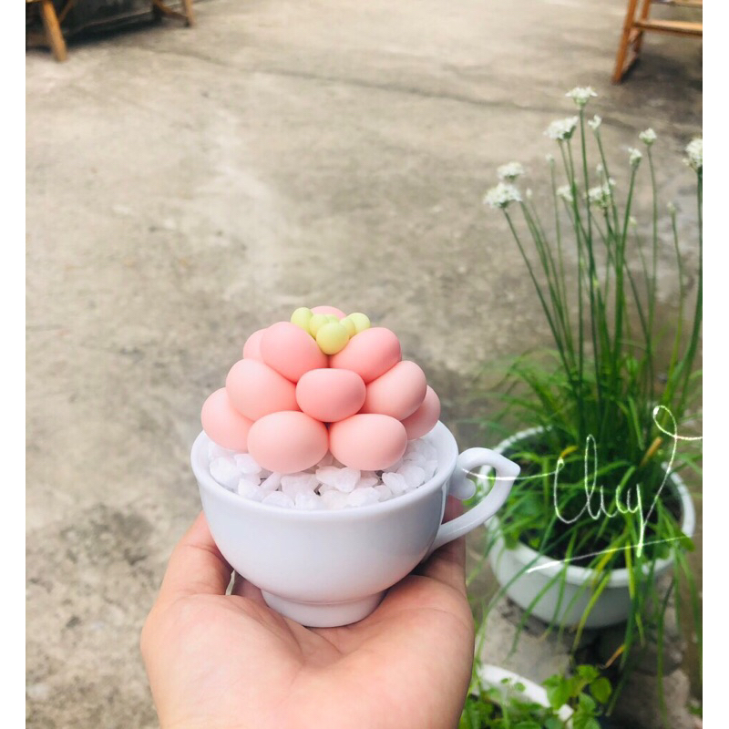 SEN ĐÁ ĐẤT SÉT,Quà Tặng Sinh Nhật,Trang Trí Decor