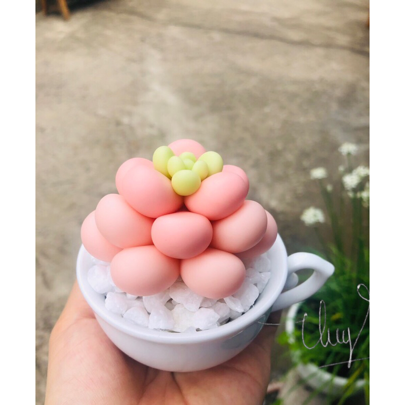 SEN ĐÁ ĐẤT SÉT,Quà Tặng Sinh Nhật,Trang Trí Decor