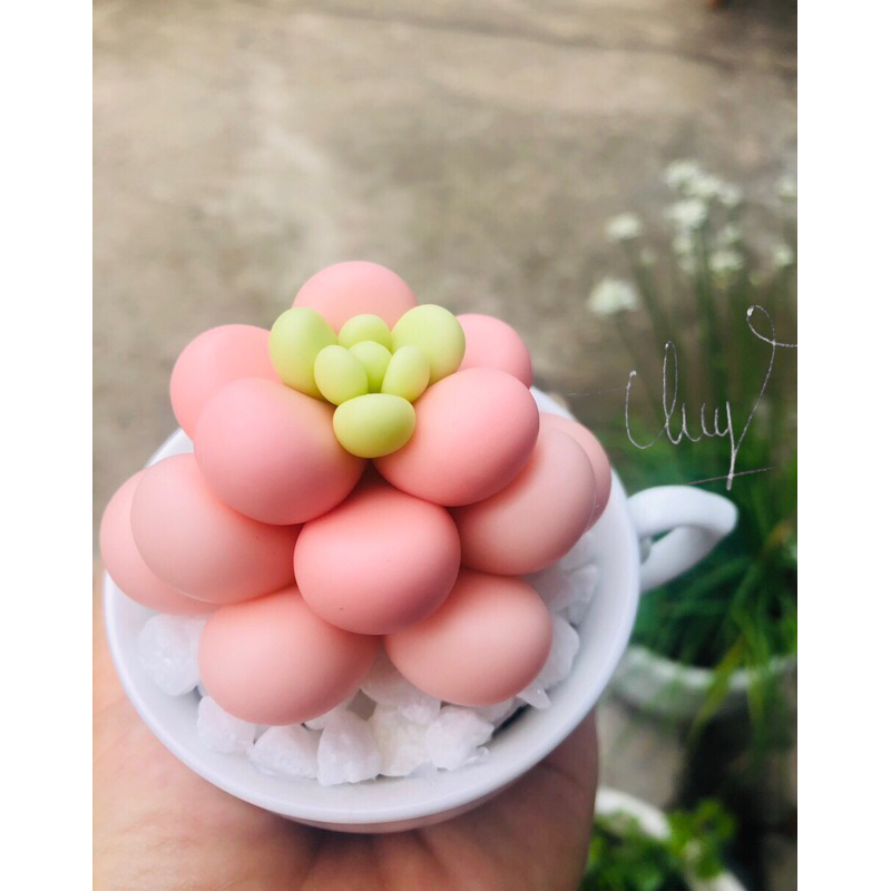 SEN ĐÁ ĐẤT SÉT,Quà Tặng Sinh Nhật,Trang Trí Decor