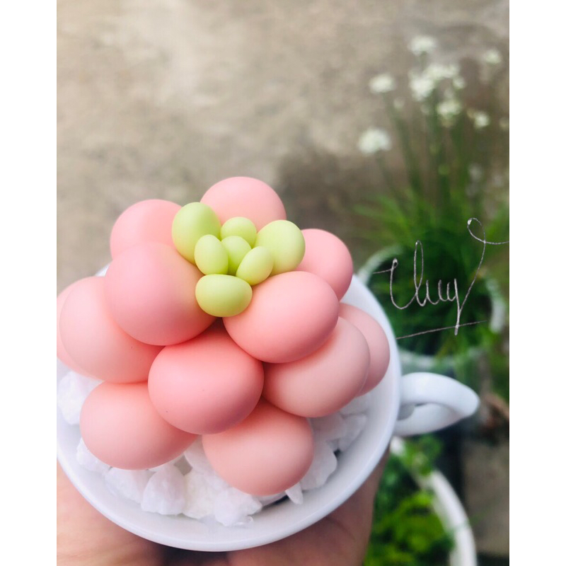 SEN ĐÁ ĐẤT SÉT,Quà Tặng Sinh Nhật,Trang Trí Decor