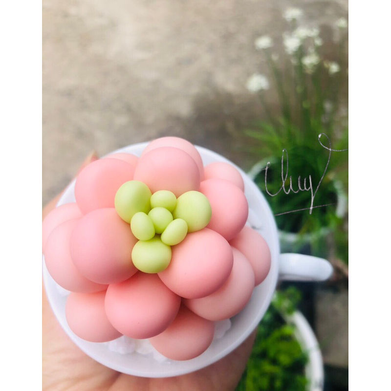 SEN ĐÁ ĐẤT SÉT,Quà Tặng Sinh Nhật,Trang Trí Decor