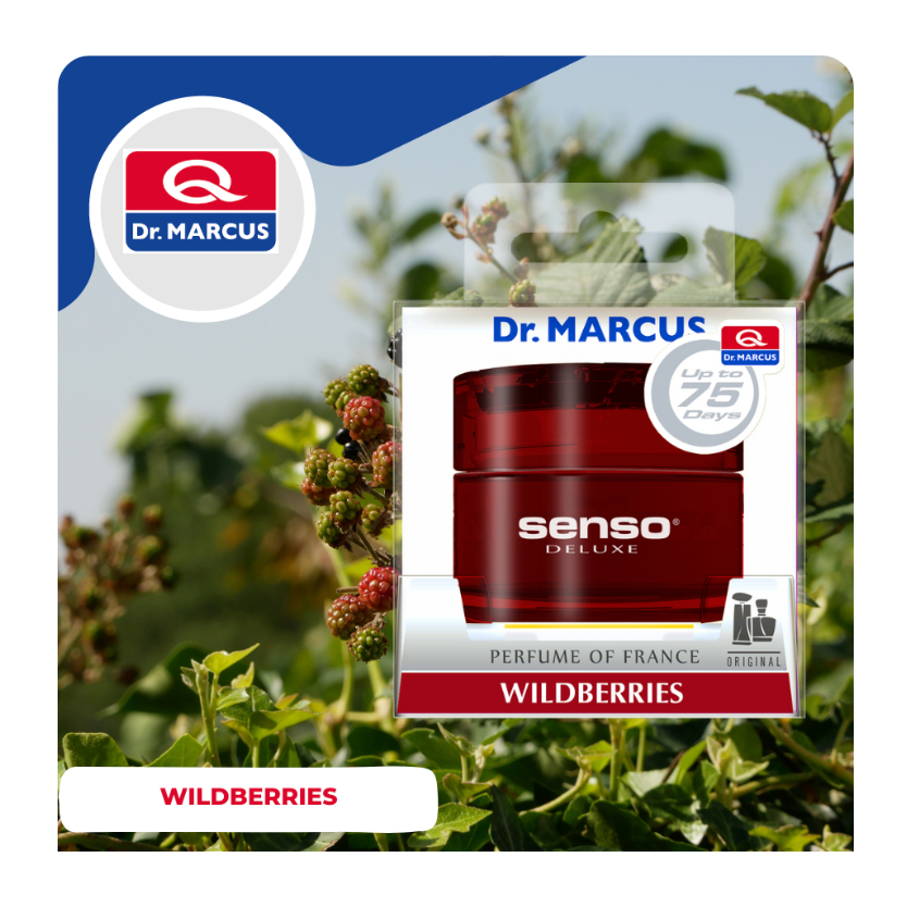 Gel Thơm Ô Tô Cao Cấp Deluxe nhiều mùi, thư giãn và thoải mái | BigBuy360 - bigbuy360.vn