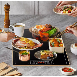 Mặt hâm giữ nhiệt 48x40cm, mặt hâm buffet, hâm đồ ăn - mâm hâm giữ nhiệt - mâm điện thông minh