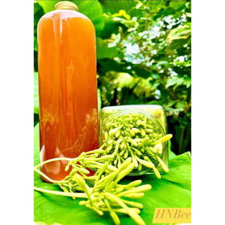 Mật ong rừng ngâm đu đủ đực