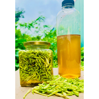 Mật ong rừng ngâm đu đủ đực