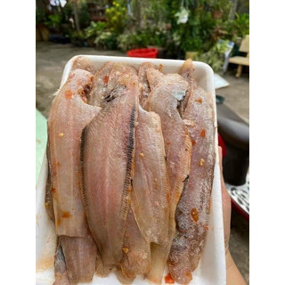 Cá lưỡi trâu khay 500gr (Ship hỏa tốc HCM)