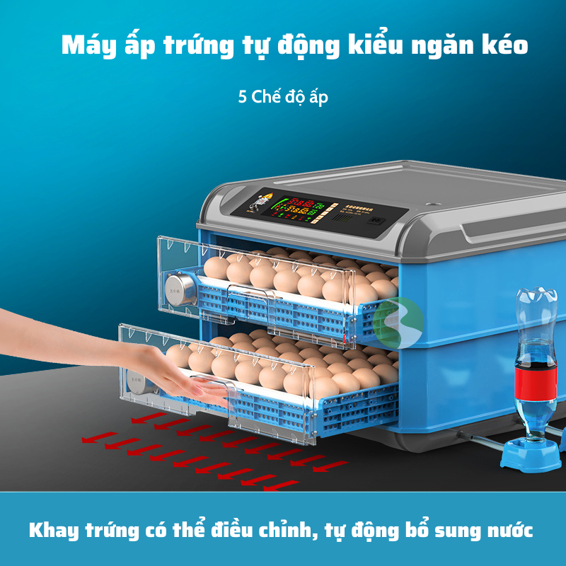 Máy ấp trứng gà mini thông minh Dương Ninh hiện đại thế hệ mới 220/12v A1234
