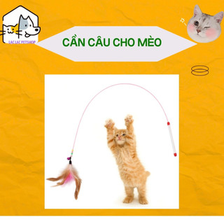 Đồ chơi cần câu mèo dây sắt lông vũ