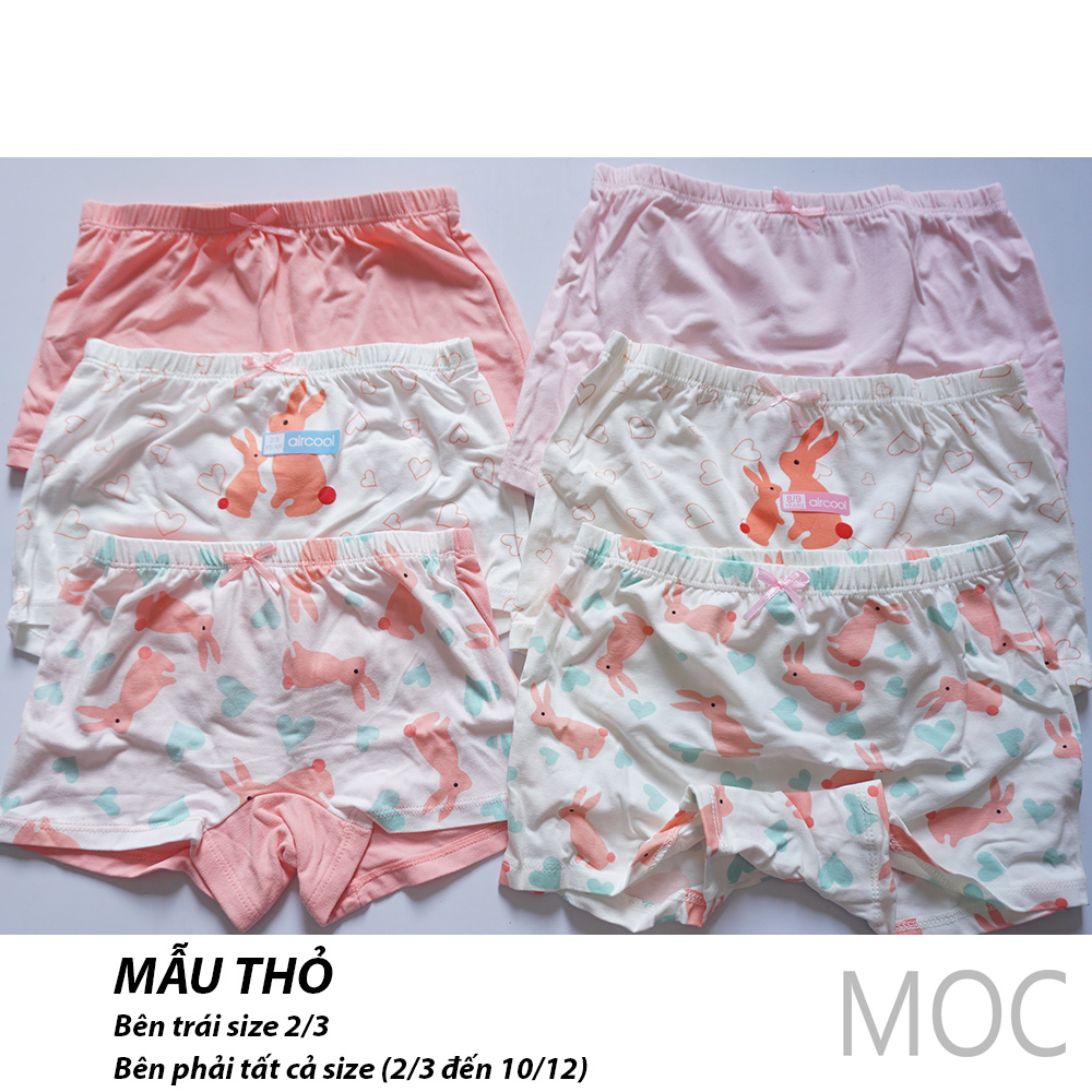 Quần lót bé gái 10-40kg Aircool chính hãng. Quần chip bé gái. Quần sịp bé gái. Quần chip đùi, quần lót đùi bé gái teen