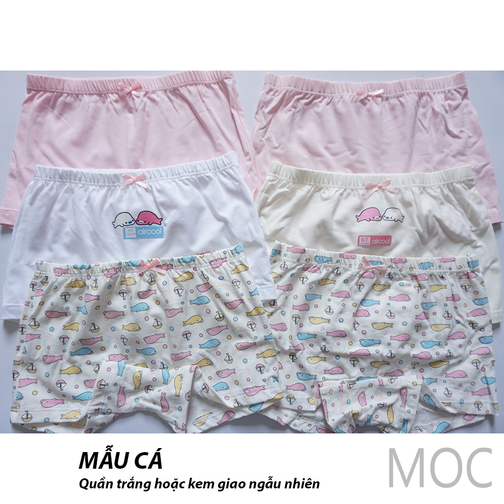 Quần lót bé gái 10-40kg Aircool chính hãng. Quần chip bé gái. Quần sịp bé gái. Quần chip đùi, quần lót đùi bé gái teen
