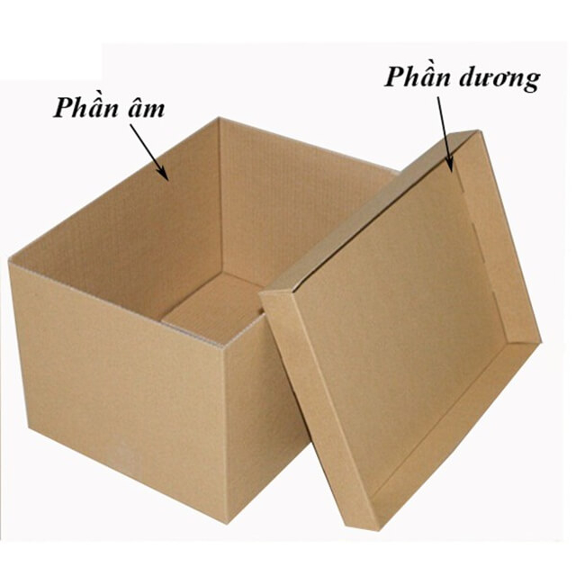 Một bìa catton đóng hàng số 3