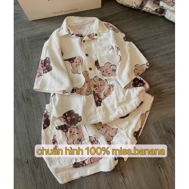 Set Bộ Quảng Châu Kaki Jean Hình Gấu Mèo Dày đẹp MaB, Set Quần đùi Ngắn